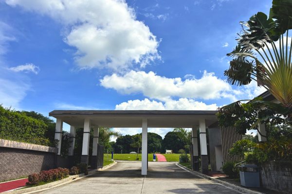 141