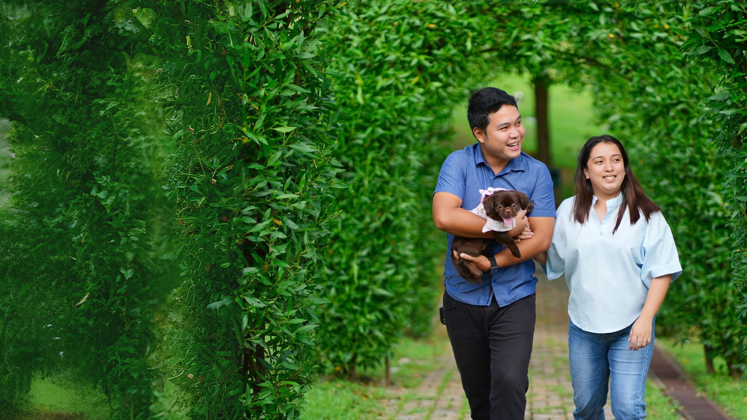 Golden Haven Pet Services